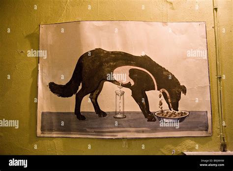 Ivan Pavlov Dog