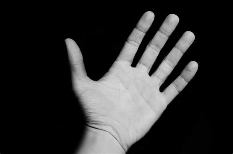 open hand  stock photo public domain pictures