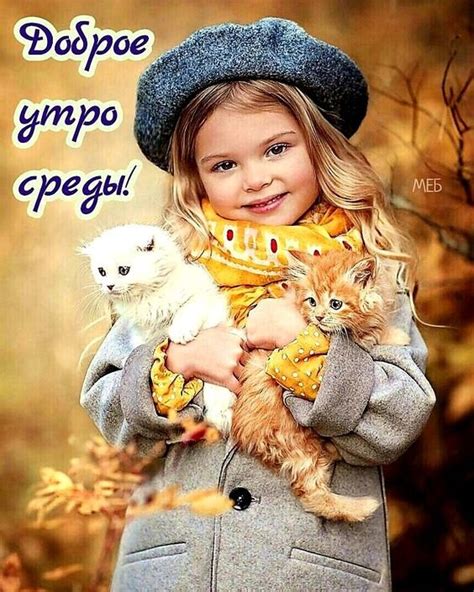 Открытка Доброе утро Среды!