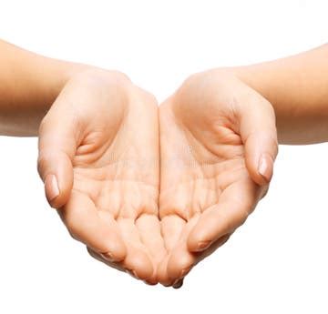 cupped hands stock   royalty  stock
