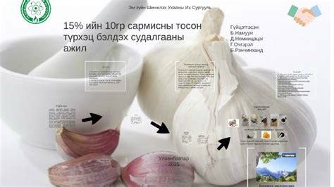 Сармисны тосон түрхэц бэлдэх судалгааны ажил by Б. Намуун on Prezi