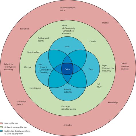 Caries Risk Assessment