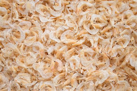 How To Store Dried Shrimp at Terri Beatty blog