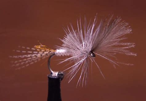 video   tie   chance cripple hendrickson orvis news