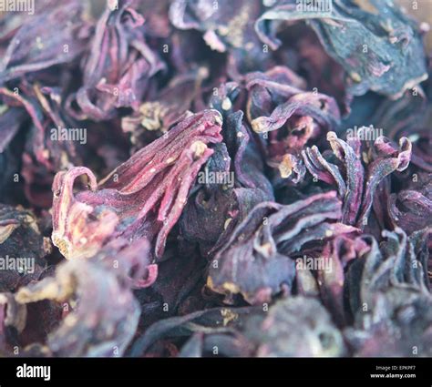 Karkade hi-res stock photography and images - Alamy