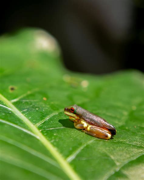 Small+Tits,+Tan+Line Photos, Download The BEST Free Small+Tits,+Tan