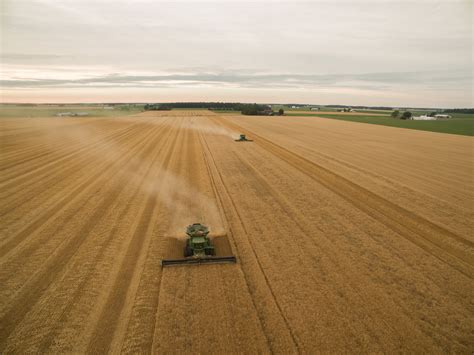 Gallery — New Vision Farms