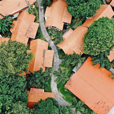 Best Vegan & Vegetarian Eco-Friendly Resorts You Must Visit!