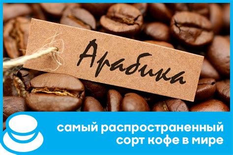 Арабика – самый распространенный сорт кофе в мире – Кофе внутри, чашка ...