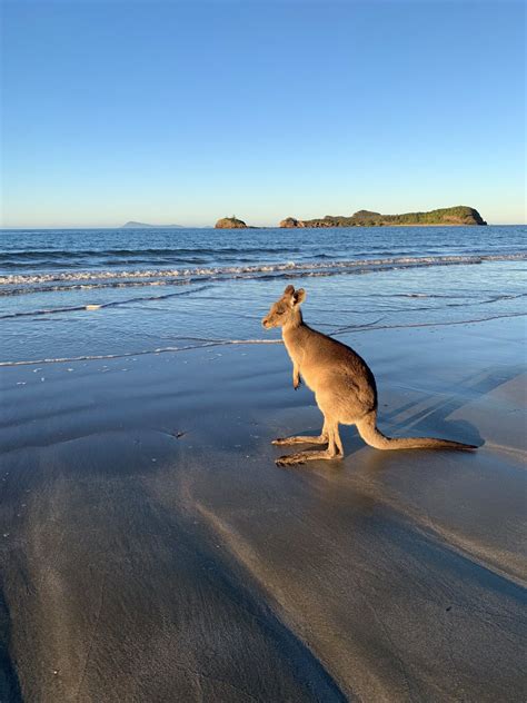 Côte-d'Oriens du bout du monde. Il a quitté la région beaunoise pour