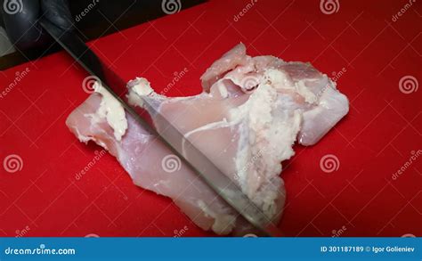 Precision in Preparation, Trimming Chicken Fillet Stock Image - Image of excess, skillfully ...