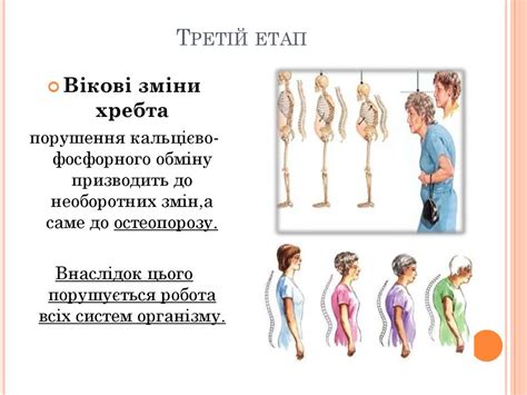 Період старості як етап онтогенезу - презентация онлайн