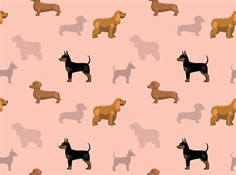 Miniature Pinscher Cartoon Illustrations, Royalty-Free Vector Graphics ...
