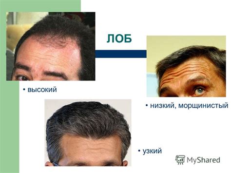 Презентация на тему: "ВНЕШНОСТЬ ЧЕЛОВЕКА. КАКОГО ОН/ОНА ВОЗРАСТА? Ему ...