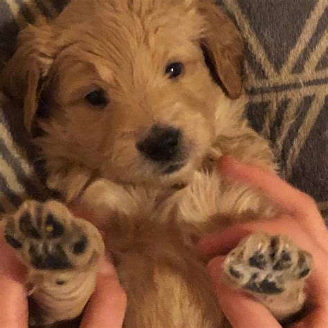 Remembering the Life and Legacy of Larry Lynn Burkhart 29