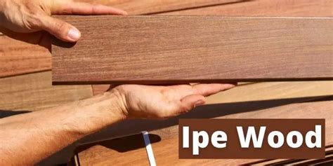 Ipe Wood – Uses, Problems & Sustainability Issues