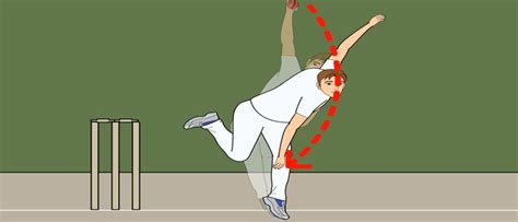 Cricket Bowling Techniques for Spin Bowler & Fast Bowler | CricketBio