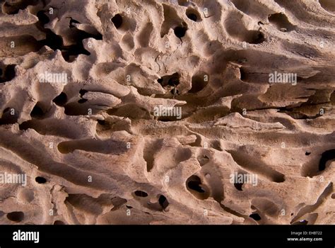 Holz 080808 4 Stock Photo - Alamy