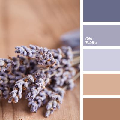 violet color for wedding | Color Palette Ideas