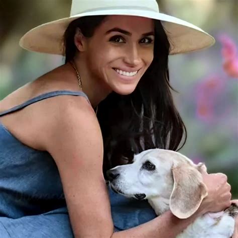 Royal Experts React To Meghan's Mole's SHOCKING Twitter Revelations Image 15