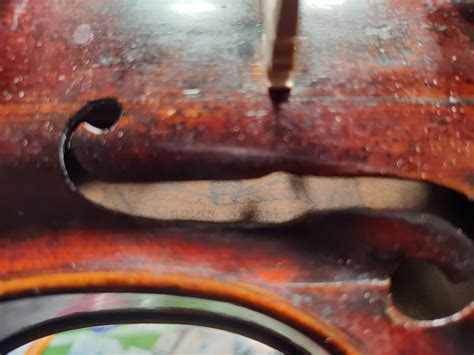 Sanctus Seraphin Violin - The Pegbox - Maestronet Forums