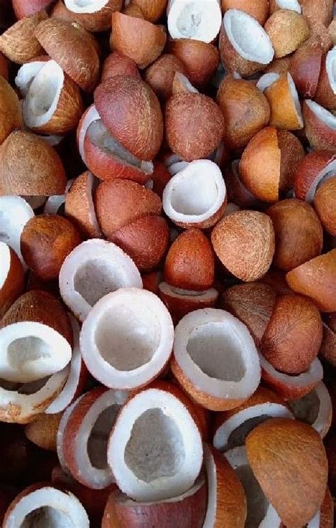 dry coconut copra  food packaging type loose  rs kg  jodhpur
