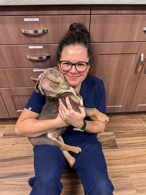 County Line Veterinary... - County Line Veterinary Hospital