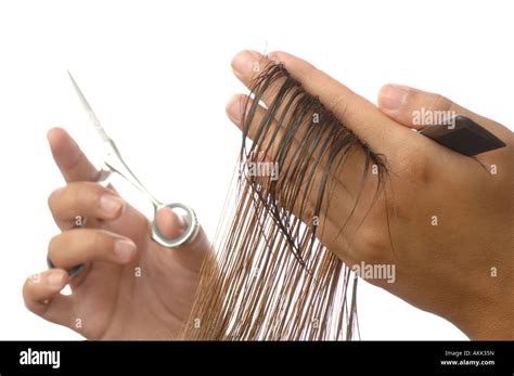 hairdresser cutting hair stock photo alamy