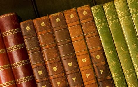 Читалка книг для компьютера — Обзор лучших программ