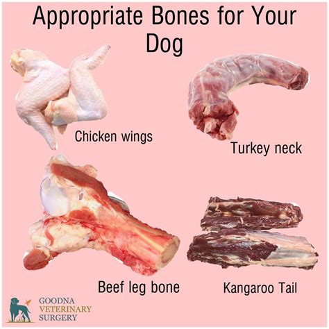 give  dog  bone