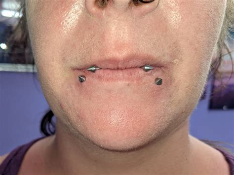 Snake Bites – DragonsBane Tattoo