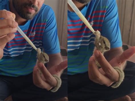Tik Tok : पूर्व क्रिकेटर युसूफ पठान की ये Tik Tok वीडियो वायरल, अनाथ ...
