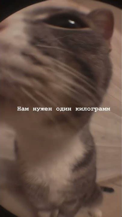Але Это пакистан? - YouTube