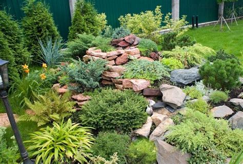 Горная сосна в ландшафтном дизайне | Tuin ideeën, Japanse tuin, Tuinstenen