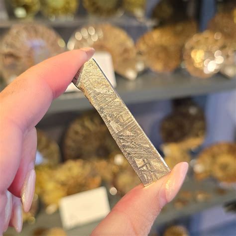 billion year  visitor  incredible story   aletai
