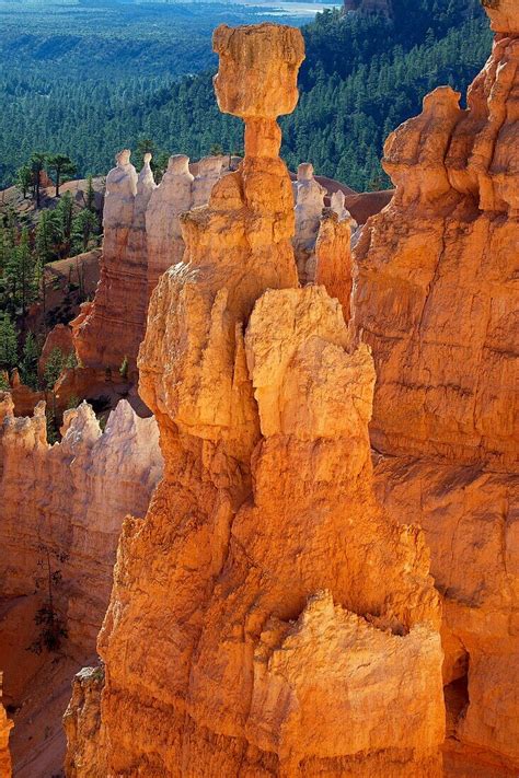 Bryce Canyon National Park – Utah – … – License image – 70383064 lookphotos