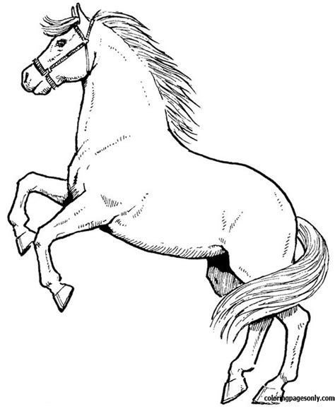 Horse Jumping Coloring Page - Free Printable Coloring Pages