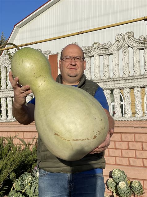 Лагенария Гигантик (Gigantic Gourd) - Pomidorki