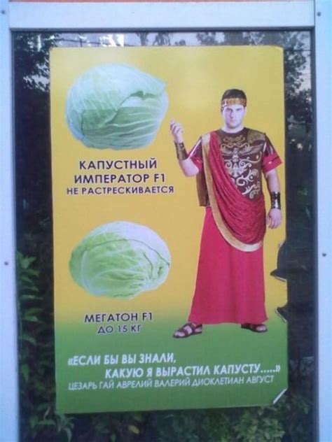 Прикольные надписи (37 фото)
