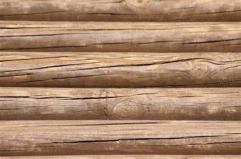 wood tree natural  structure   photo  pixabay pixabay