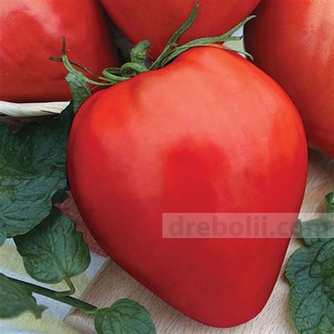 Домати, Момини сълзи - семена - Drebolii.com