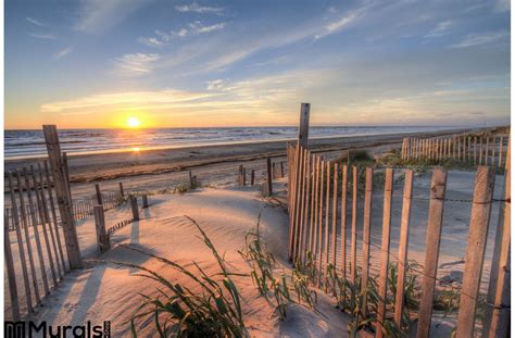 Outer Banks Beach Sunrise Sand Dunes Wall Mural