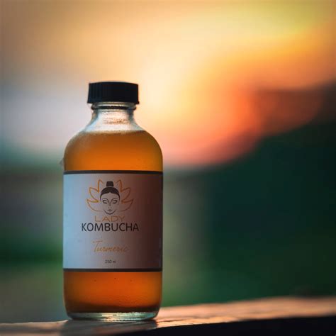 5 famous fermented foods that are great for the gut you should know