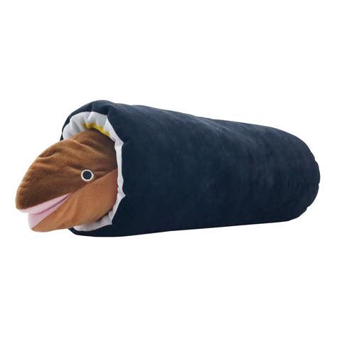 Japanese aquarium has sushi roll cylinders for eels to slide into, is