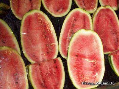 Food and Color