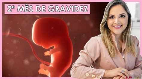 Ultrassom de Bebê: O Que Esperar aos 2 Meses | Actualizado mayo 2026