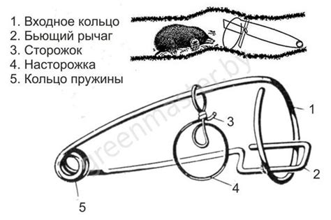 Сетка от кротов. Сетка для газона. Сетка для защиты от кротов.
