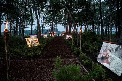 ICE - multi-channel video installation, carnival stories from Crimea