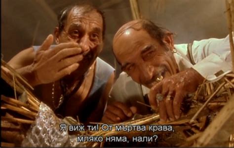 Черна котка бял котарак