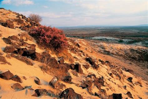 Desert in Turkey: Karapınar - Yolcu360 Blog